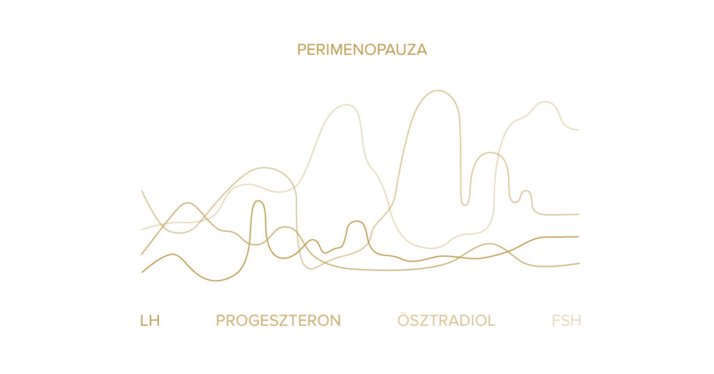 Perimenopauza
